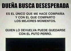 Enlace a Se busca urgentemente