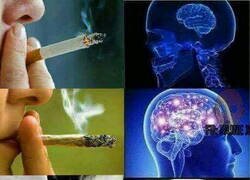 Enlace a Puestos a fumar...