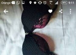 Enlace a Menudo espabilao'