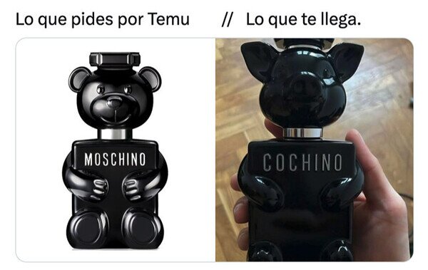 CC_2826805_240f546ccecf4a8d97b797585b0f87be_otros_yo_no_pedi_cochino.jpg