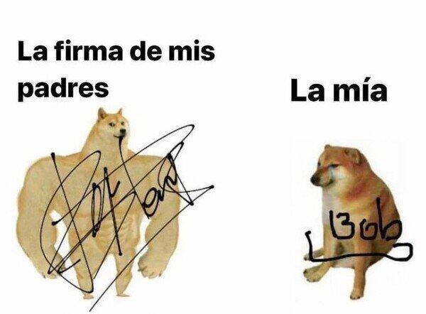 Meme_otros - ¿A qué edad se aprende a hacer una firma adulta?
