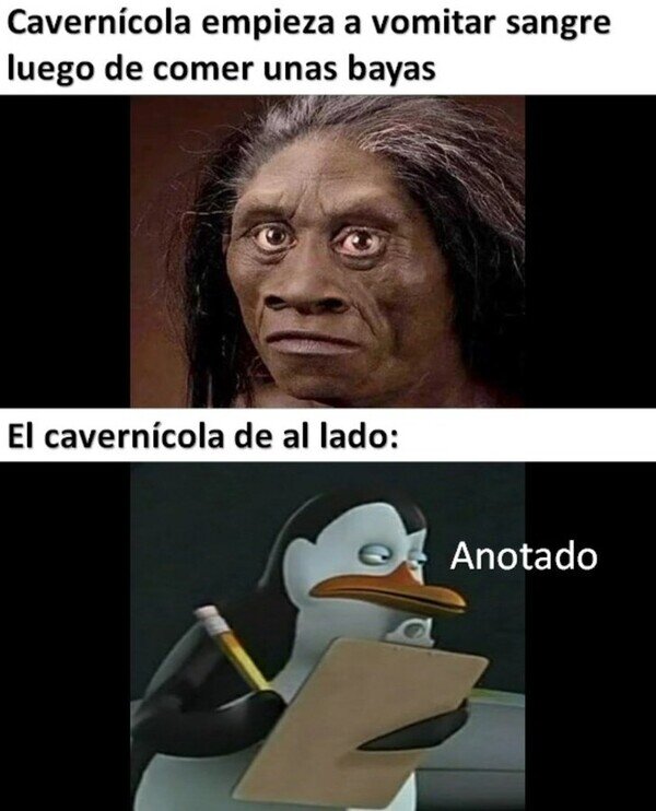 Meme_otros - Prueba y error