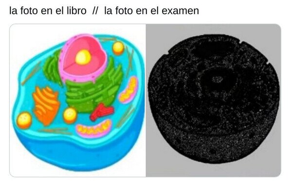 Otros - Malditas fotocopias