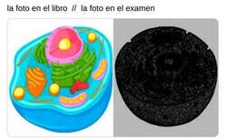 Enlace a Malditas fotocopias