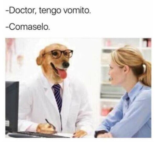 Otros - La recomendación del dogtor