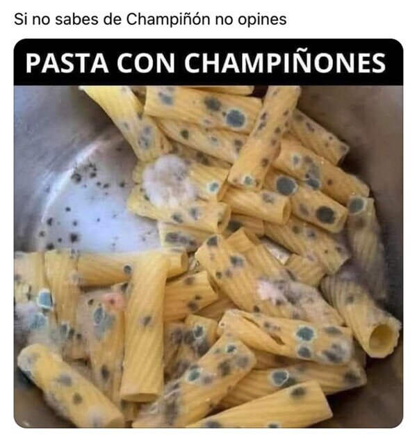 CC_2826851_38f8e15f86e84ceea511d10d0ebdecbc_otros_pasta_funghi.jpg