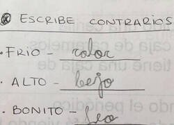 Enlace a No veo fallas en su lógica