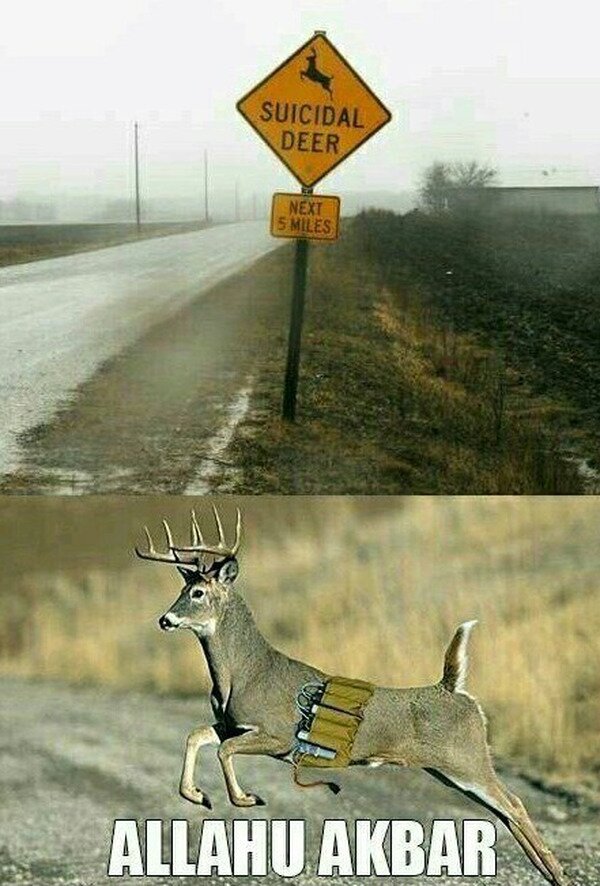 CC_2826857_0f5f9cbe76c84d089a648f231bd4c9d1_meme_otros_cuidado_con_los_ciervos_suicidas.jpg