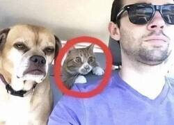 Enlace a El único que teme por su vida