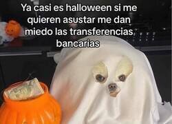 Enlace a Se acerca Halloween