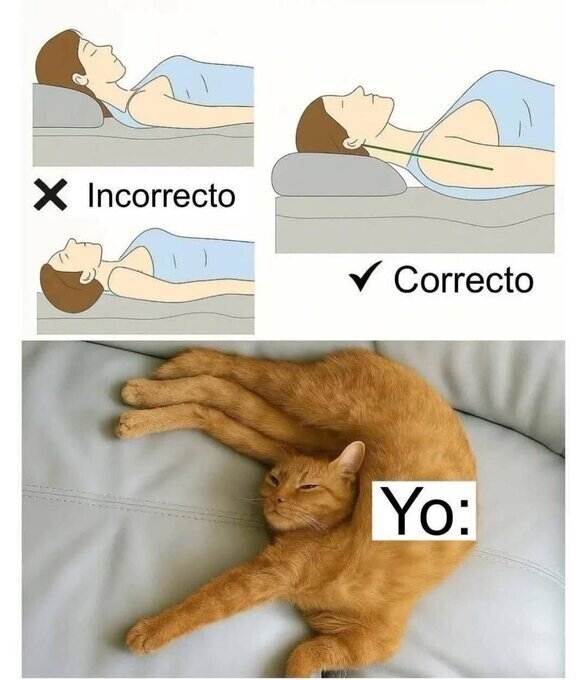 Meme_otros - No duermo como debería