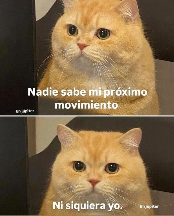 Meme_otros - Totalmente impredecible