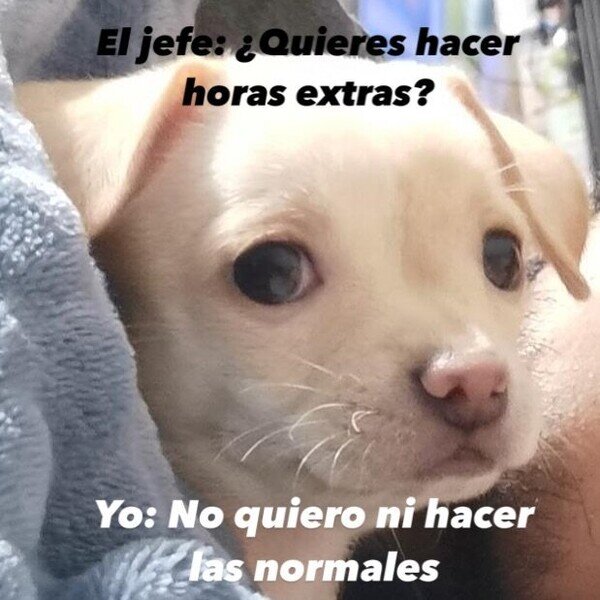 CC_2826893_dd9d6fb41cbe4f22b0f80362630518d8_meme_otros_horas_extra.jpg