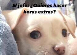 Enlace a Horas extra