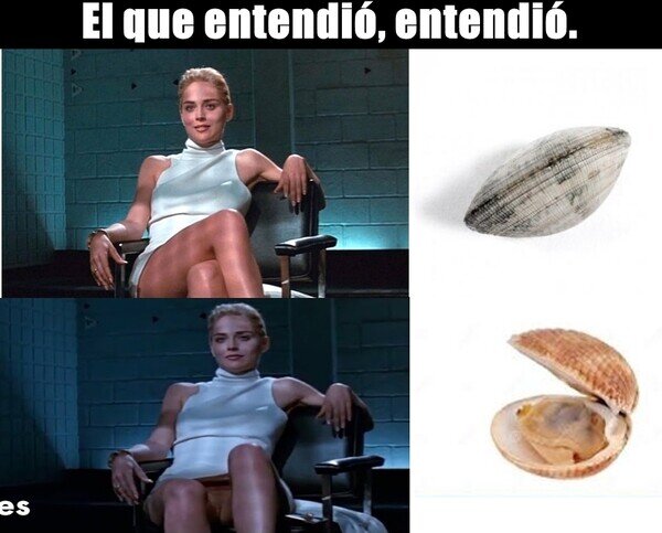 sharon stone,almeja,abrir