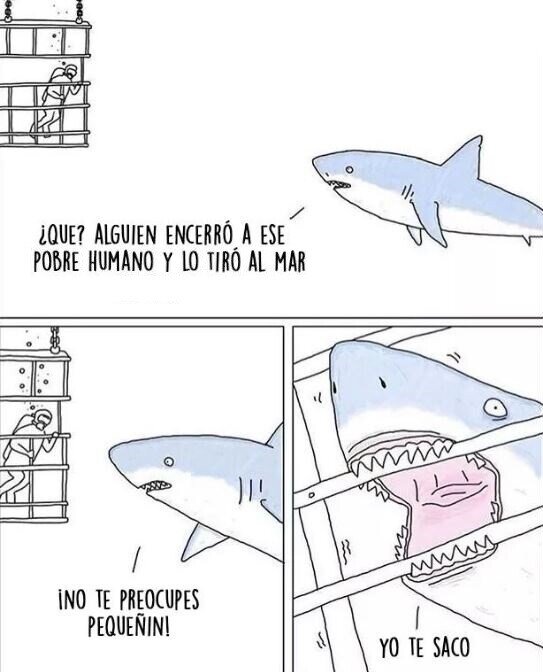 Otros - La perspectiva de un tiburón
