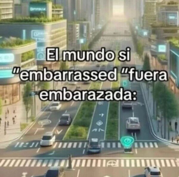 Meme_otros - Como debería de ser