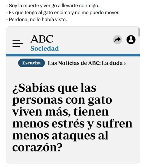 Otros - ¿Por qué las personas con gato viven más?