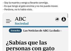 Enlace a ¿Por qué las personas con gato viven más?