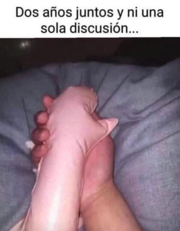 Meme_otros - Mi pareja ideal