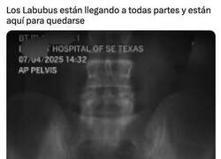 Enlace a Ya están aquí...