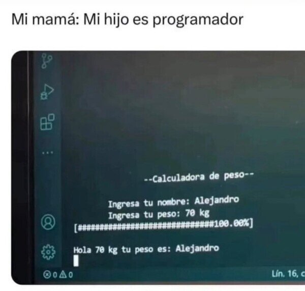 Meme_otros - Todo lo programador que puedo ser