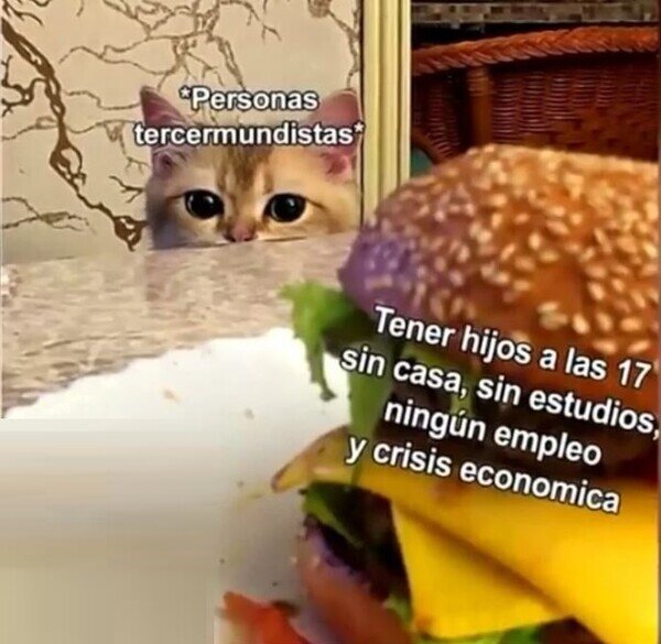 Meme_otros - No sé como, pero consiguen salir adelante