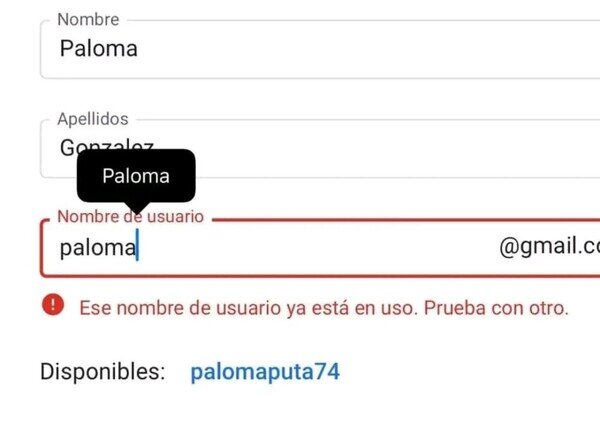 paloma,sugerencia,nombre,nickname