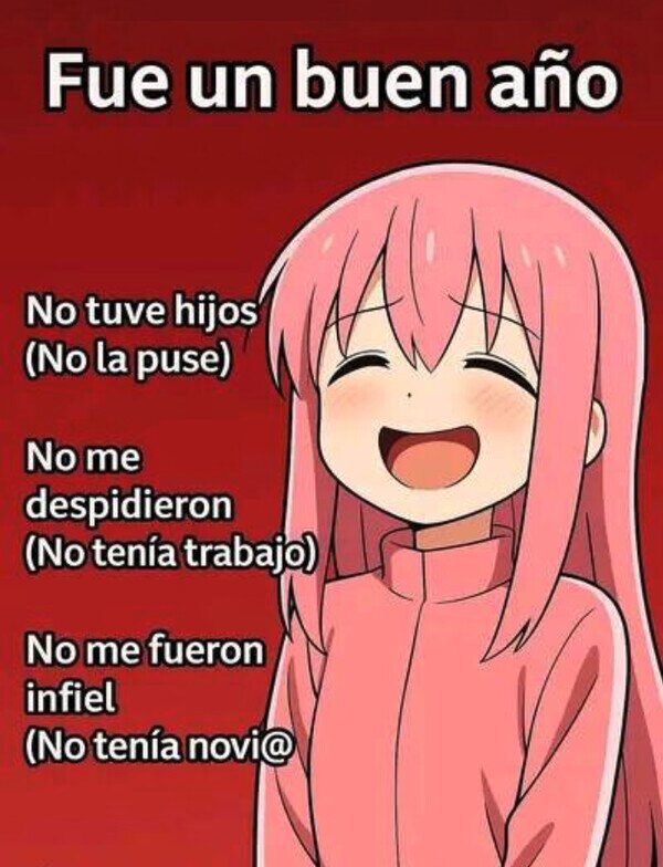 CC_2827105_ded0d73462fd4b8db939082f3dc62fe8_meme_otros_fue_un_buen_ano.jpg