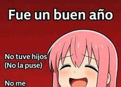 Enlace a Fue un buen año