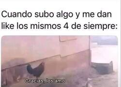 Enlace a Mis fans más fieles