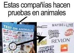 Enlace a No me lo esperaba de Guitar Hero