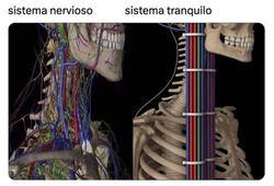 Enlace a Tiene sentido