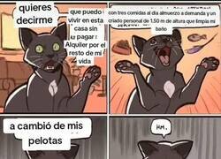 Enlace a El trato que asume todo gato doméstico