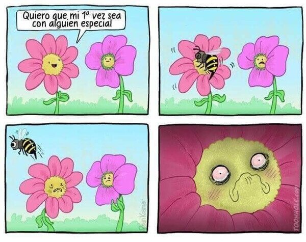 Meme_otros - Acoso floral