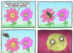 Enlace a Acoso floral
