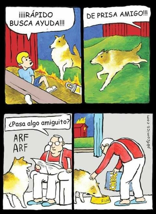 Meme_otros - Las aventuras de Lassie
