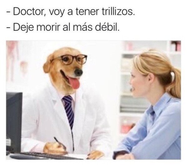 Meme_otros - Otro consejo del Dogtor
