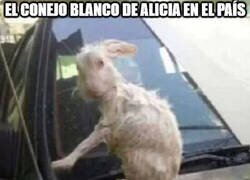 Enlace a Imagen del rodaje de la nueva película de Disney