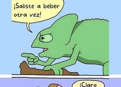Enlace a Qué mala suerte ser camaleón