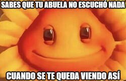 Enlace a Todas las abuelas lo hacen