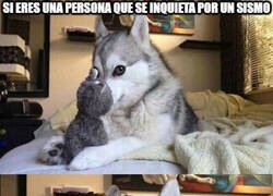 Enlace a ¿Lo padeces?