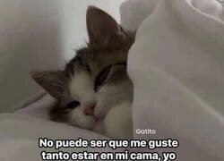 Enlace a ¿Cómo puede ser?