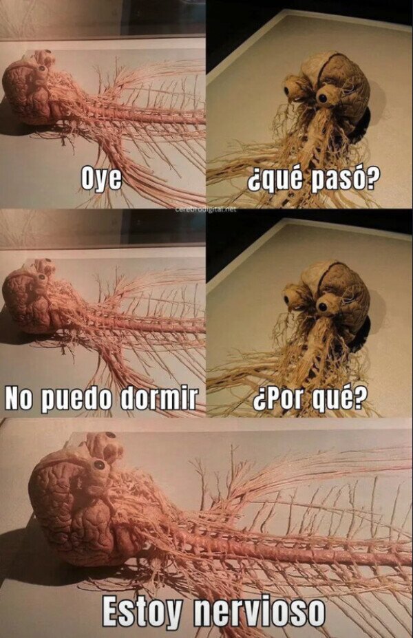 Meme_otros - Cosa de sistemas