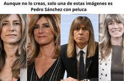 Enlace a ¡Ostras, es verdad!