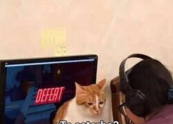 Enlace a Mira que afectado estoy