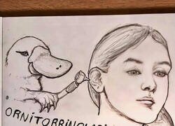 Enlace a La tontería del día