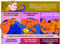 Enlace a DEP Jane Goodall