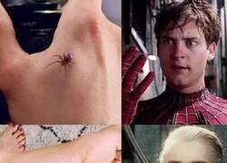 Enlace a Se convirtió en Legolas