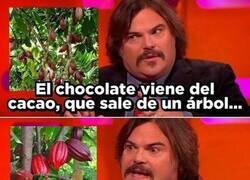 Enlace a Un vegetal como otro cualquiera